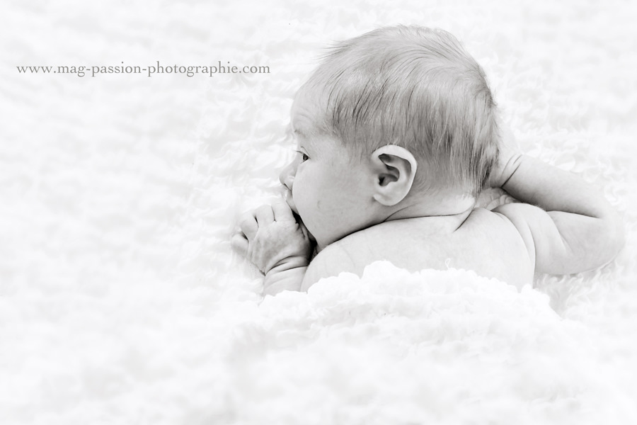 IMG_7800 as Smart Object-1